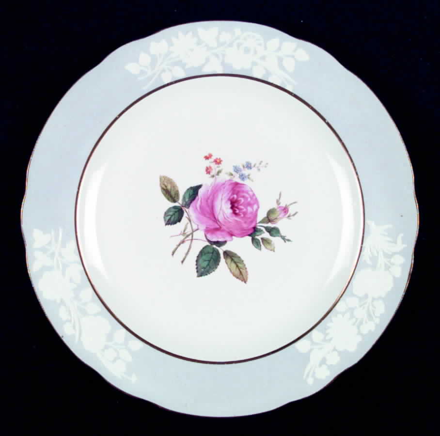 E1763 Dinner Plate by Spode-1