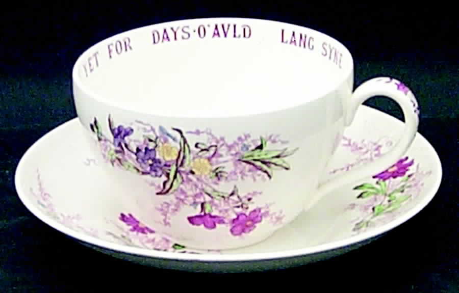 Fairy Dell Joke Cup & Saucer Set by Spode-1