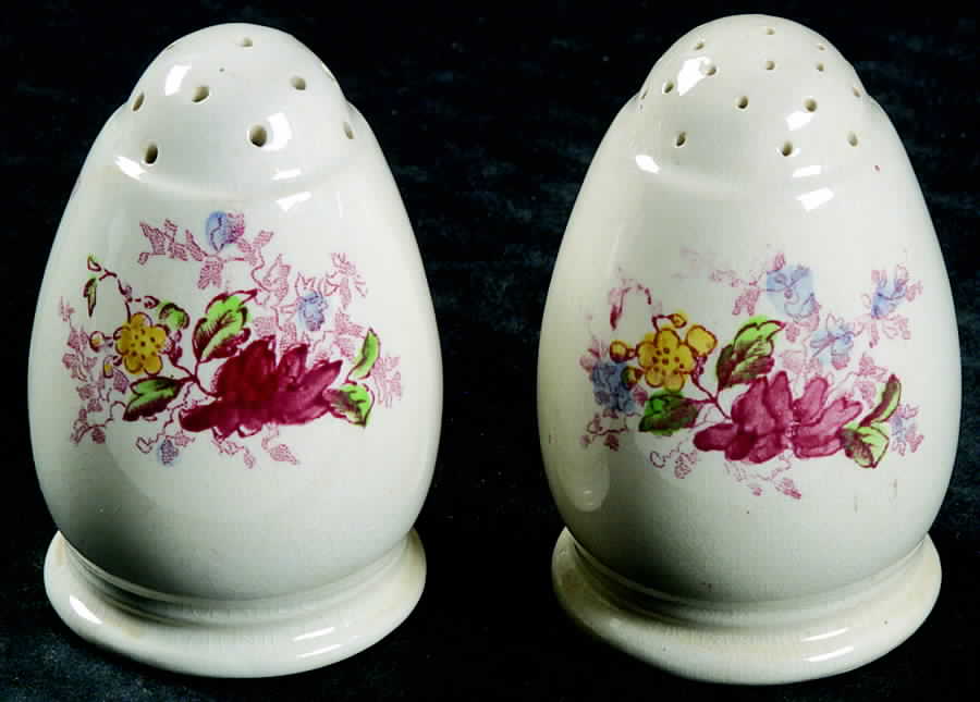 Fairy Dell Salt & Pepper Set by Spode-1
