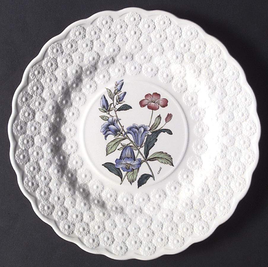 Fernleigh Luncheon Plate by Spode-1