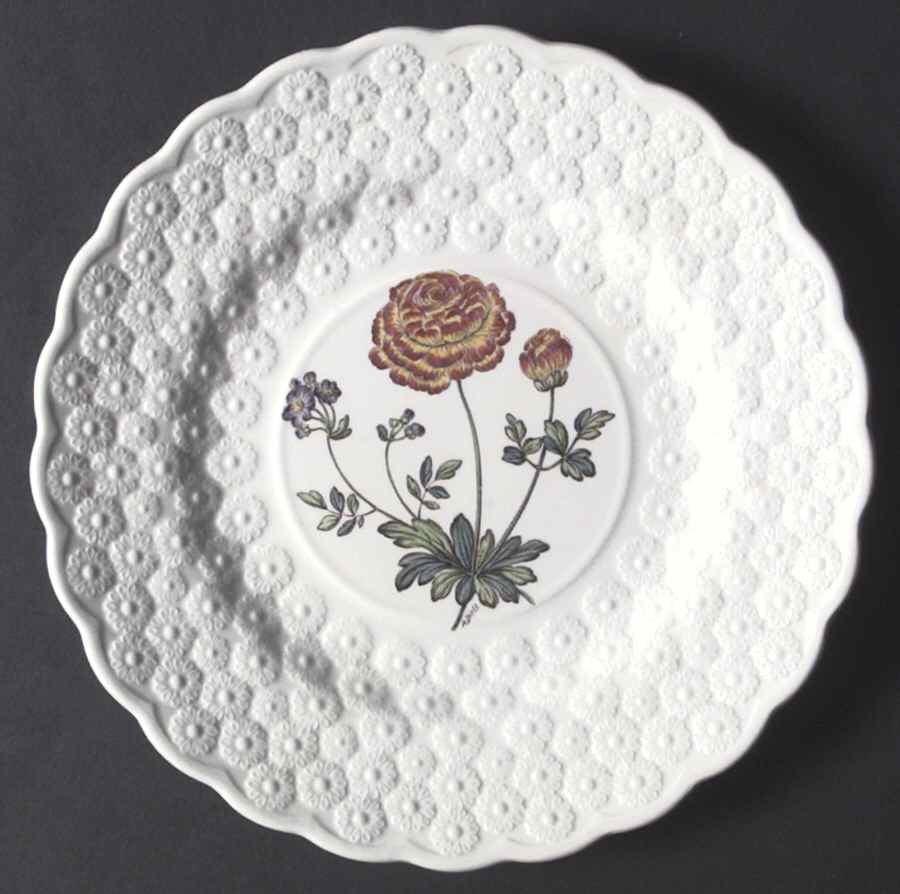 Fernleigh Luncheon Plate by Spode-1