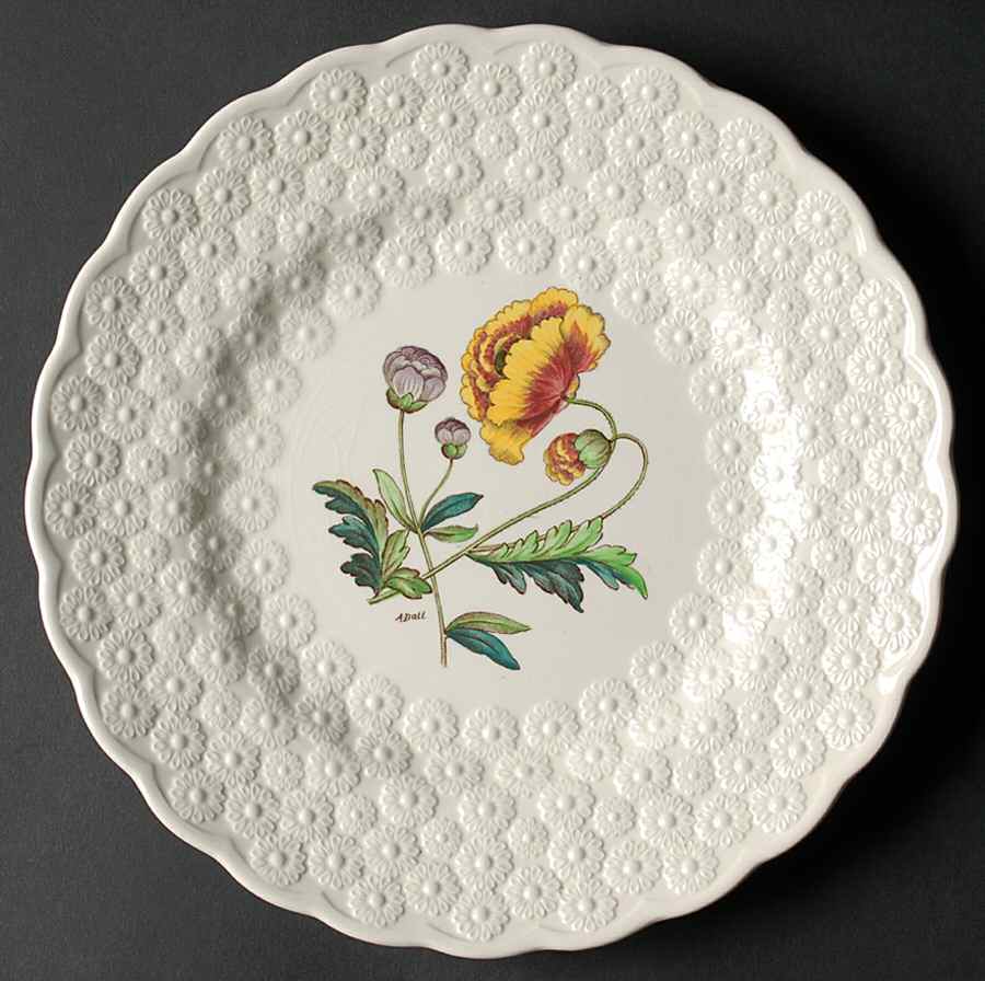 Fernleigh Luncheon Plate by Spode-1