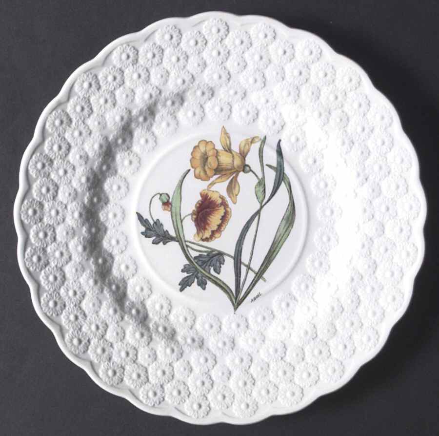 Fernleigh Luncheon Plate by Spode-1