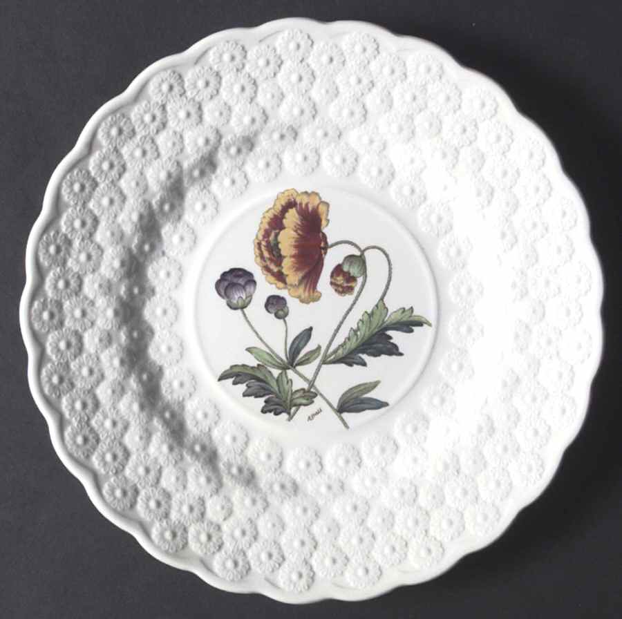 Fernleigh Luncheon Plate by Spode-1