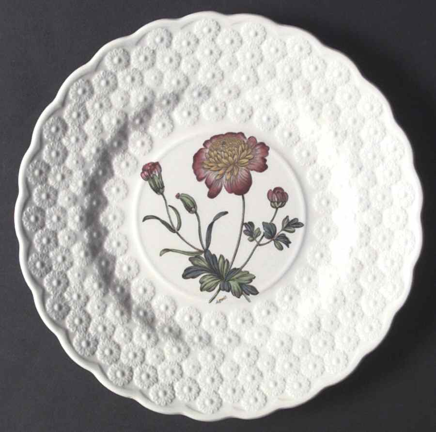 Fernleigh Luncheon Plate by Spode-1
