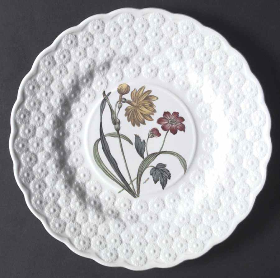 Fernleigh Luncheon Plate by Spode-1