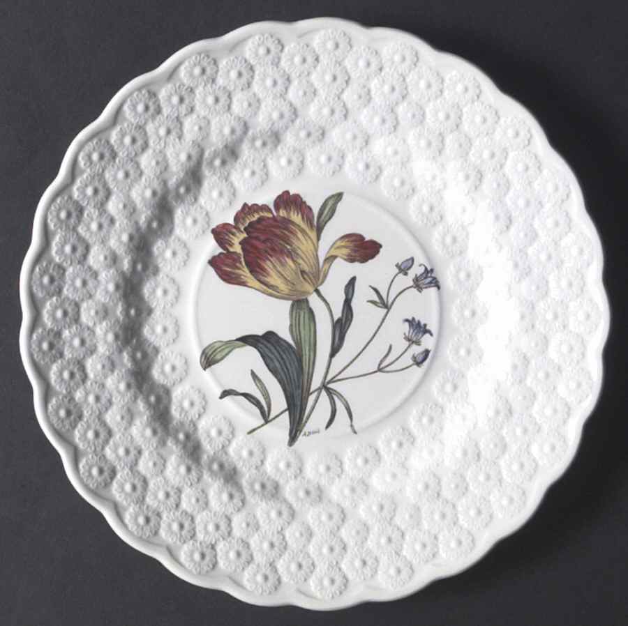 Fernleigh Luncheon Plate by Spode-1