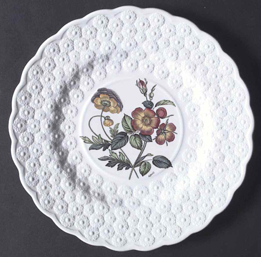 Fernleigh Luncheon Plate by Spode-1