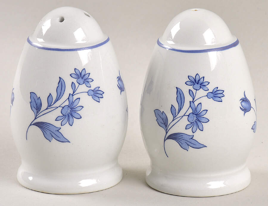 Fontaine Salt & Pepper Set by Spode-1