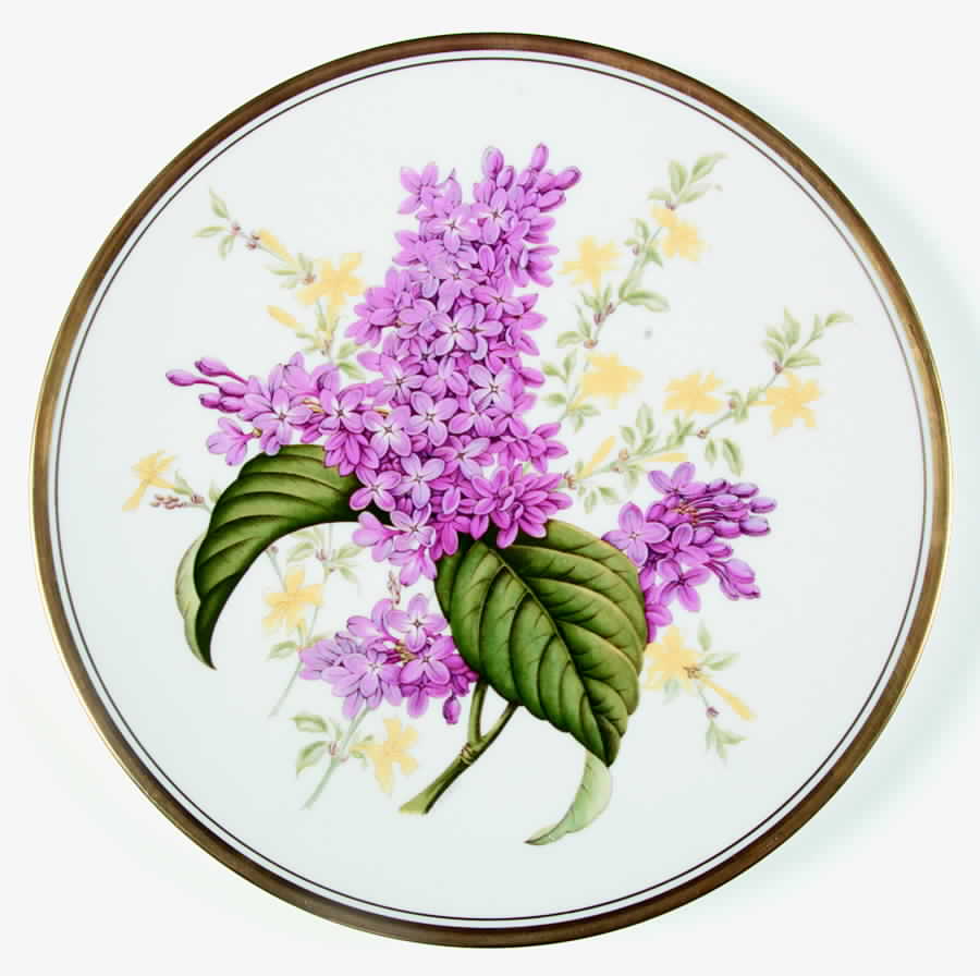 Garden Flowers Luncheon Plate by Spode-1
