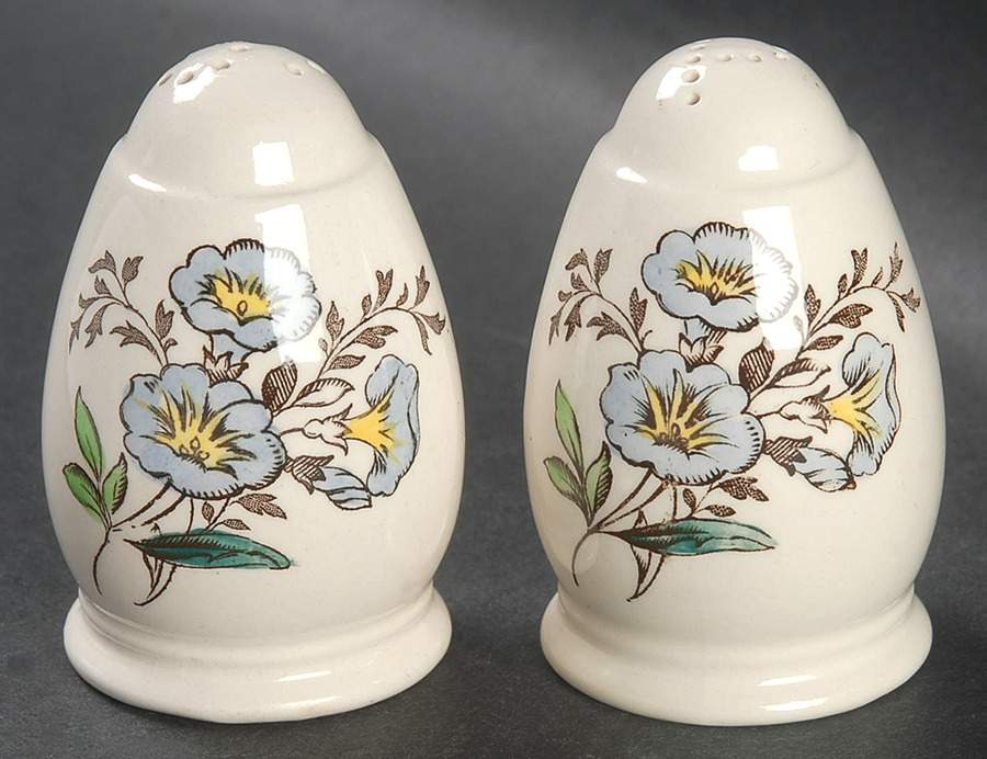 Gainsborough (Marlborough) Salt & Pepper Set by Spode-1