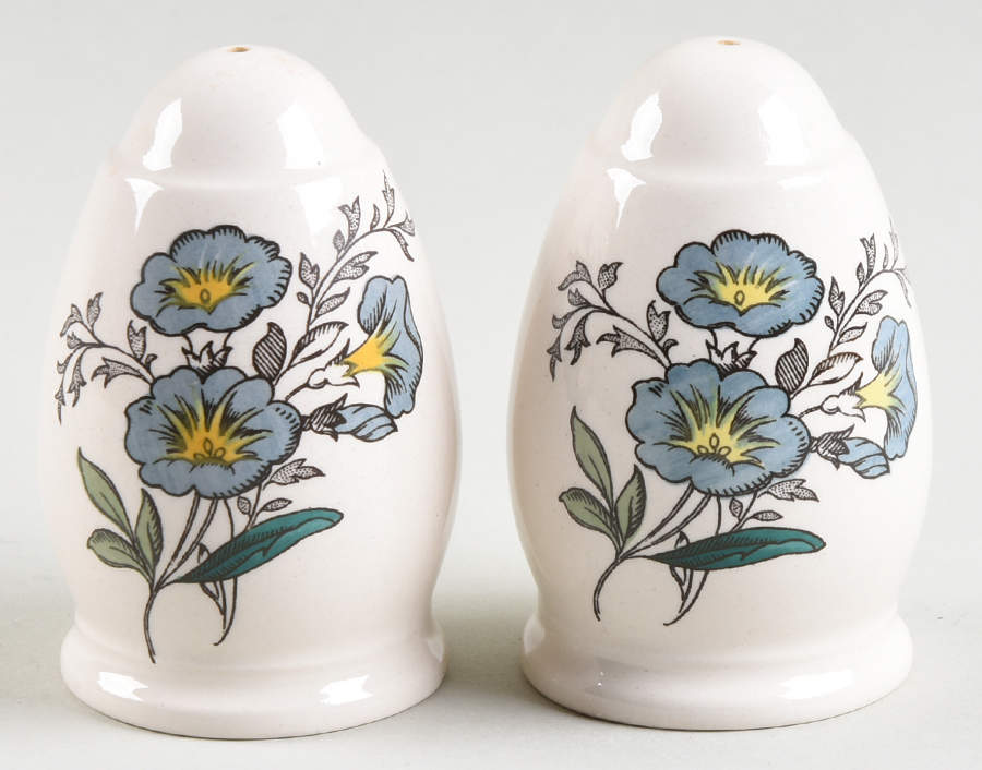 Gainsborough (Marlborough) Salt & Pepper Set by Spode-1