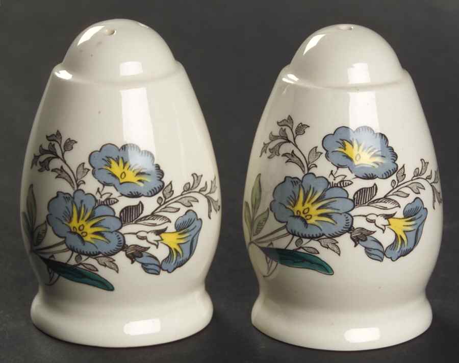 Gainsborough (Marlborough) Salt & Pepper Set by Spode-1