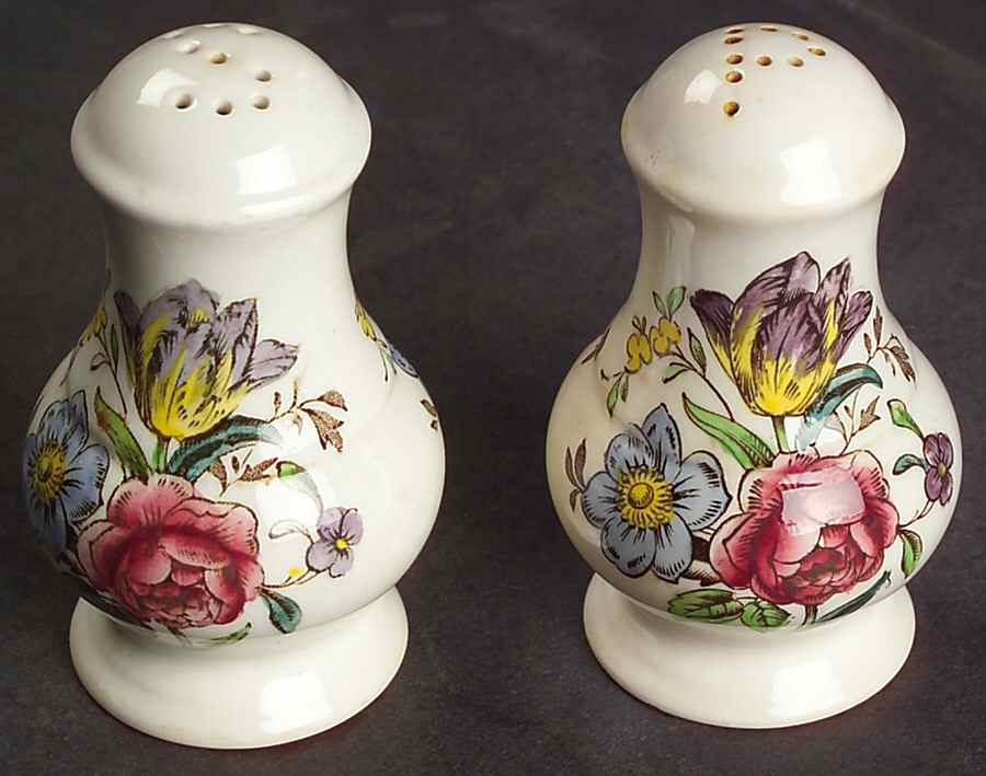 Gainsborough (Marlborough) Salt & Pepper Set by Spode-1
