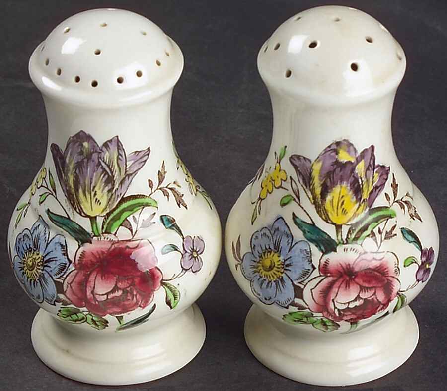 Gainsborough (Marlborough) Salt & Pepper Set by Spode-1