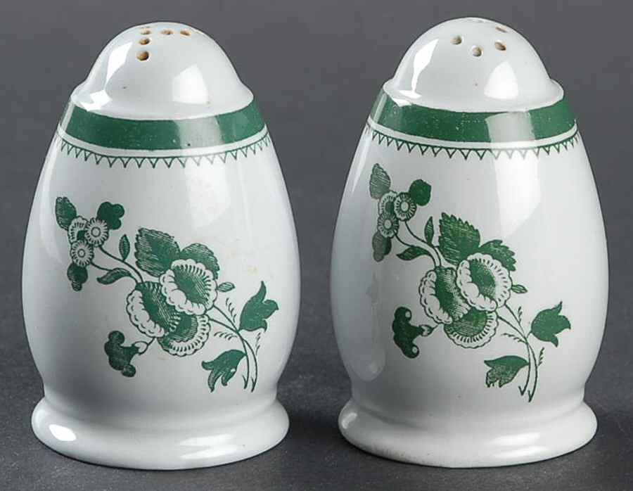 Gloucester Green (Fine Stone) Salt & Pepper Set by Spode-1