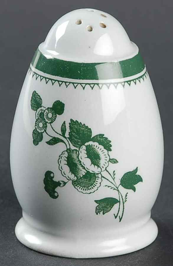 Gloucester Green (Fine Stone) Salt Shaker by Spode-1