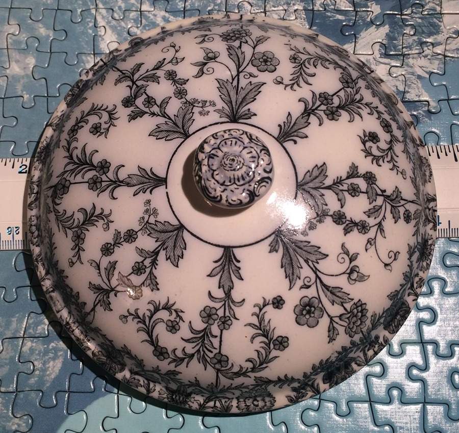 Gray Delhi Lid for Flat Cream Soup Bowl by Spode-1