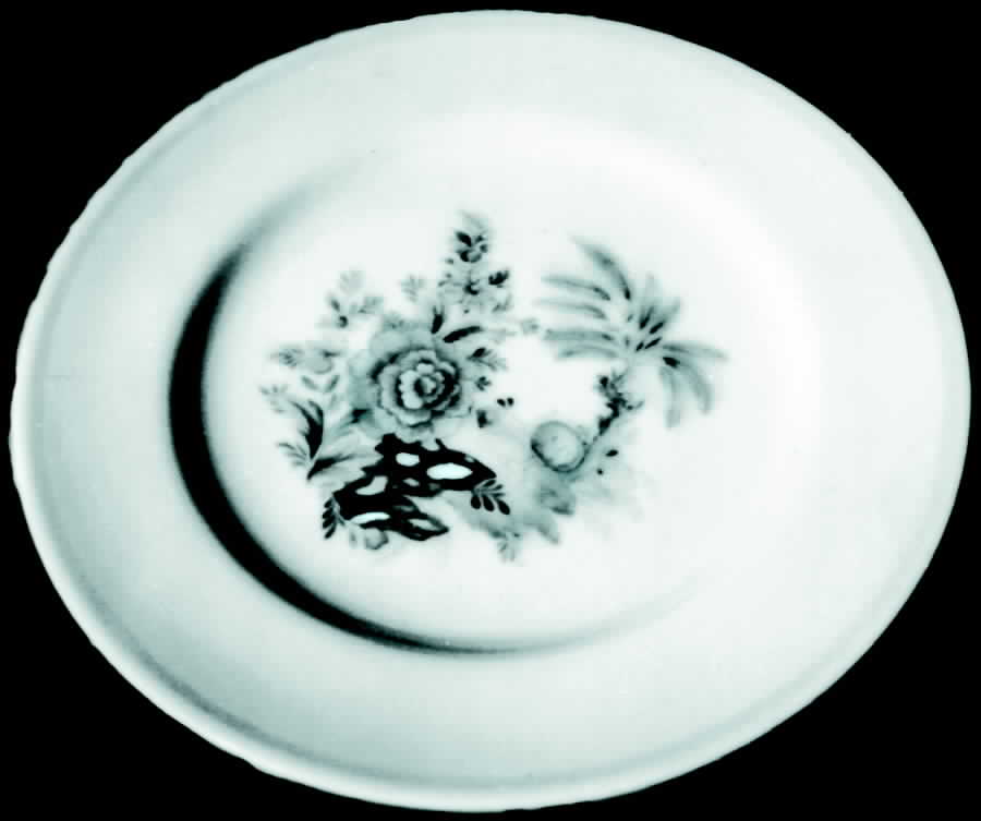 Juliana Dinner Plate by Spode-1