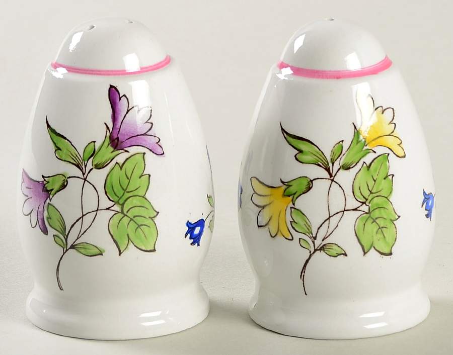 Marlborough Sprays Salt & Pepper Set by Spode-1