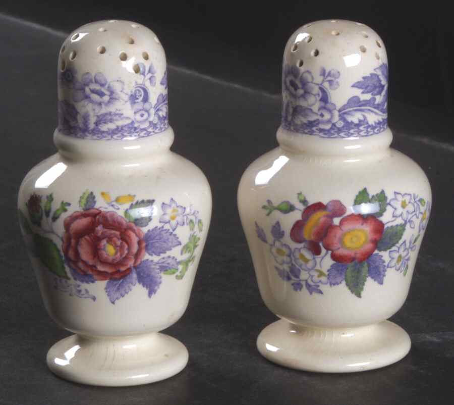 Mayflower Salt & Pepper Set by Spode-1