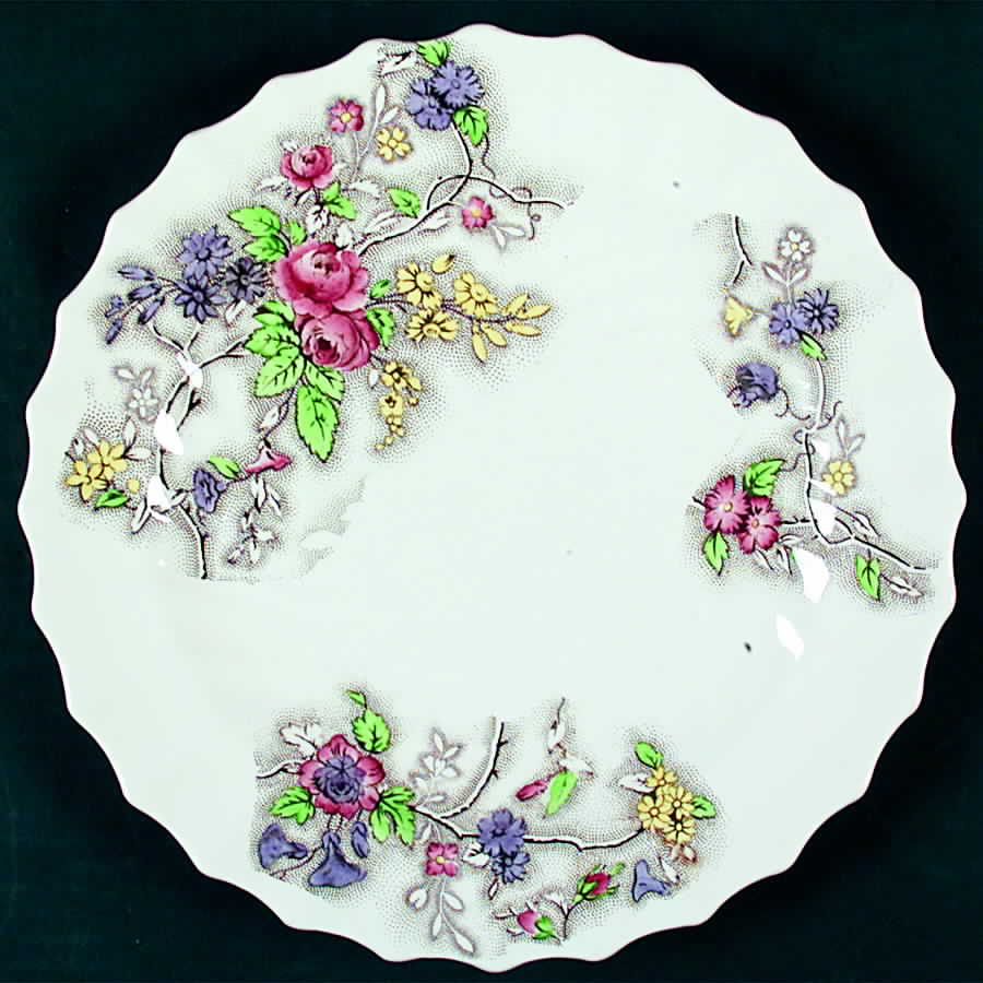 Patricia (No Trim) Dinner Plate by Spode-1