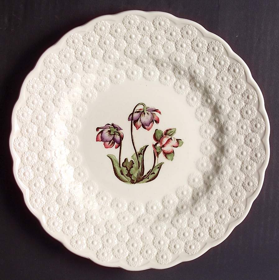 Provincial Flowers Luncheon Plate by Spode-1
