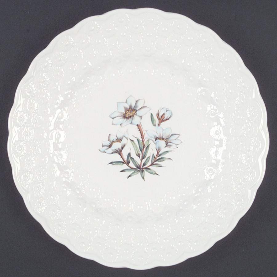 Provincial Flowers Luncheon Plate by Spode-1