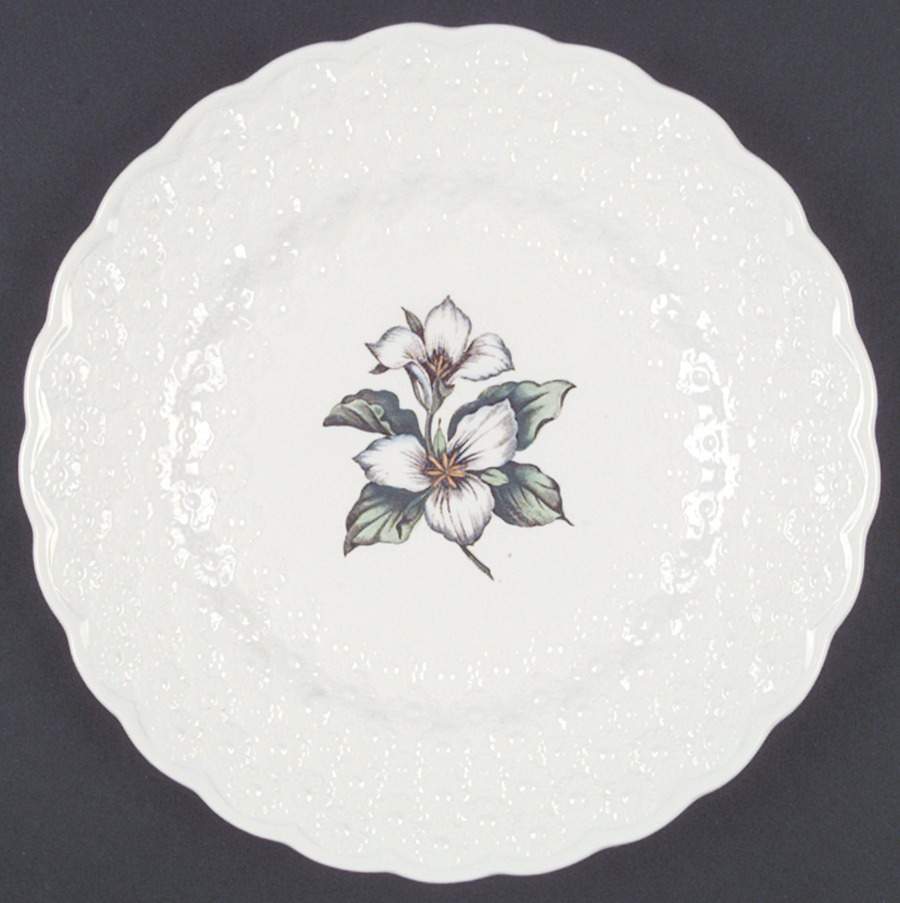 Provincial Flowers Luncheon Plate by Spode-1