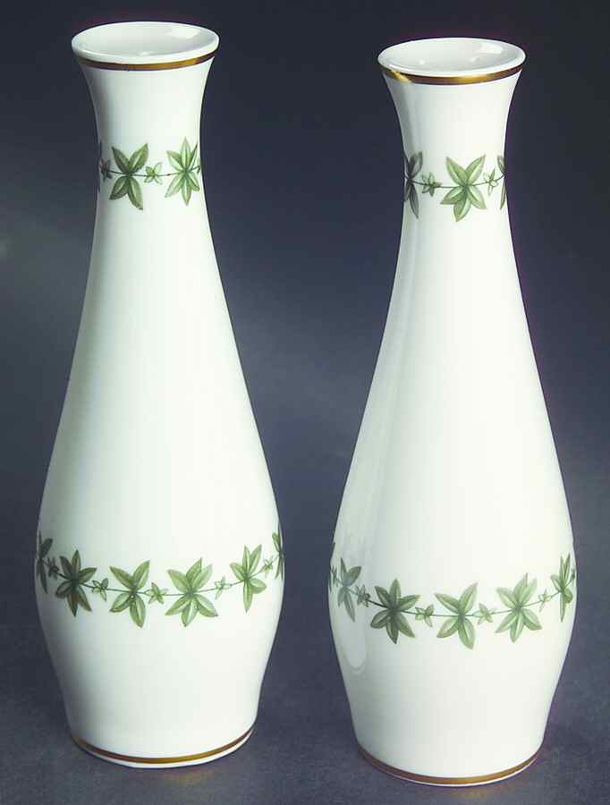 Provence (YC843, Green Leaves) Salt & Pepper Set by Spode-1
