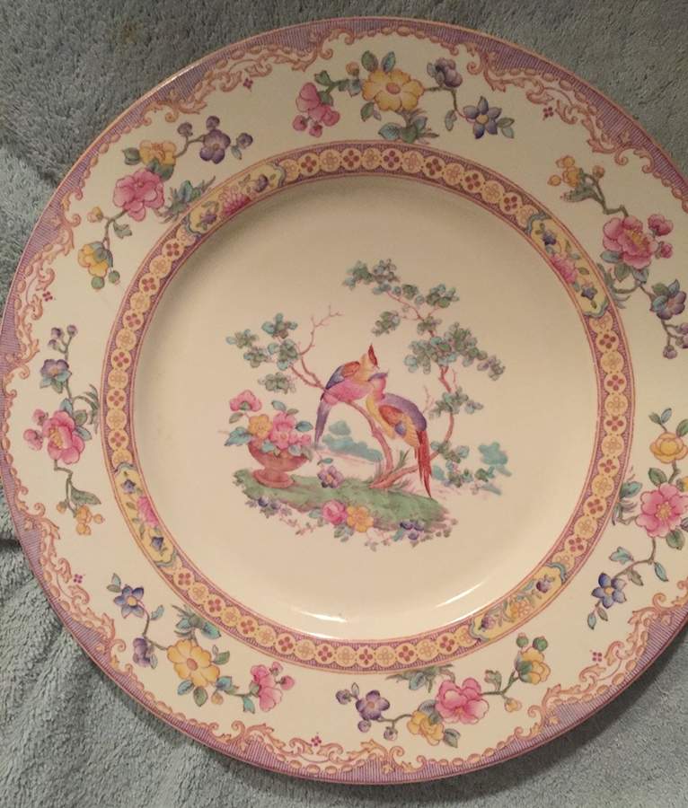 R9082 Dinner Plate by Spode-1
