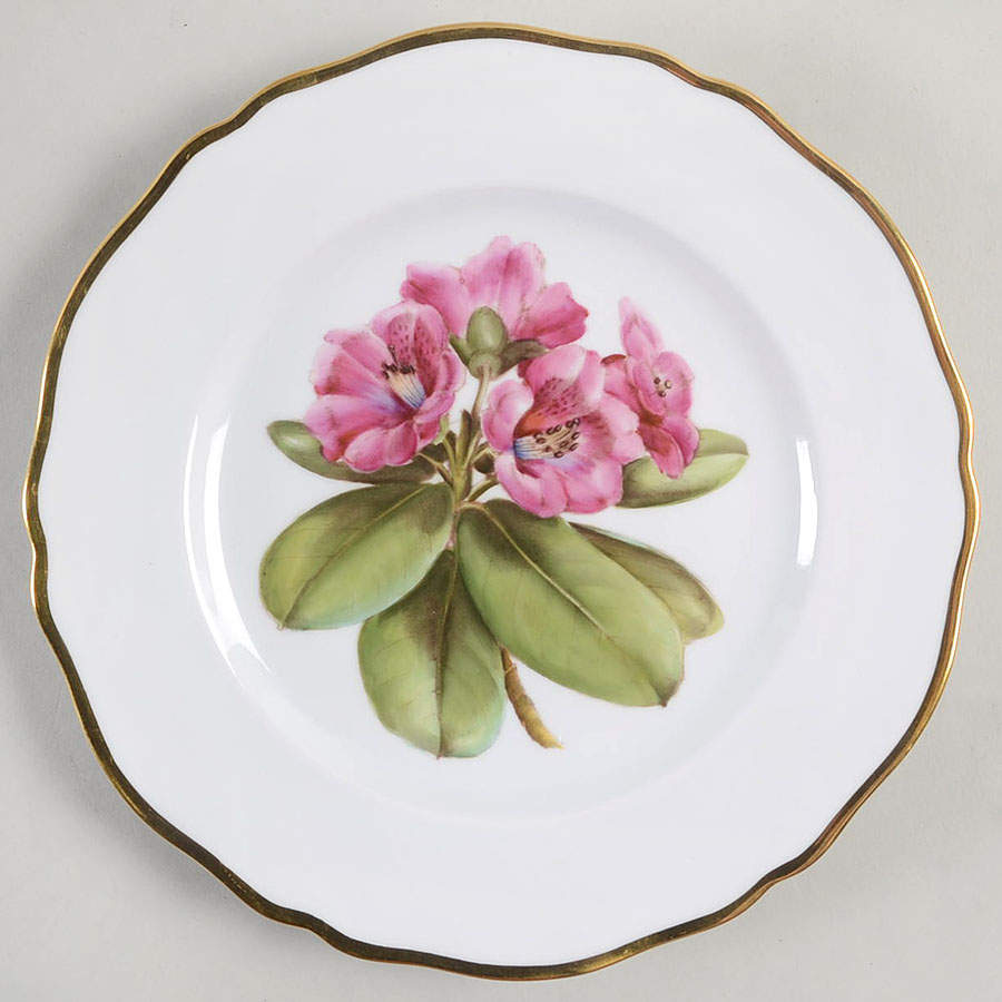 Rhododendron Salad Plate by Spode-1