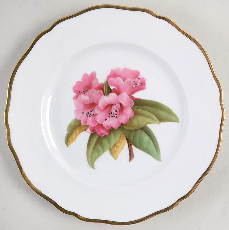 Rhododendron Salad Plate by Spode-1