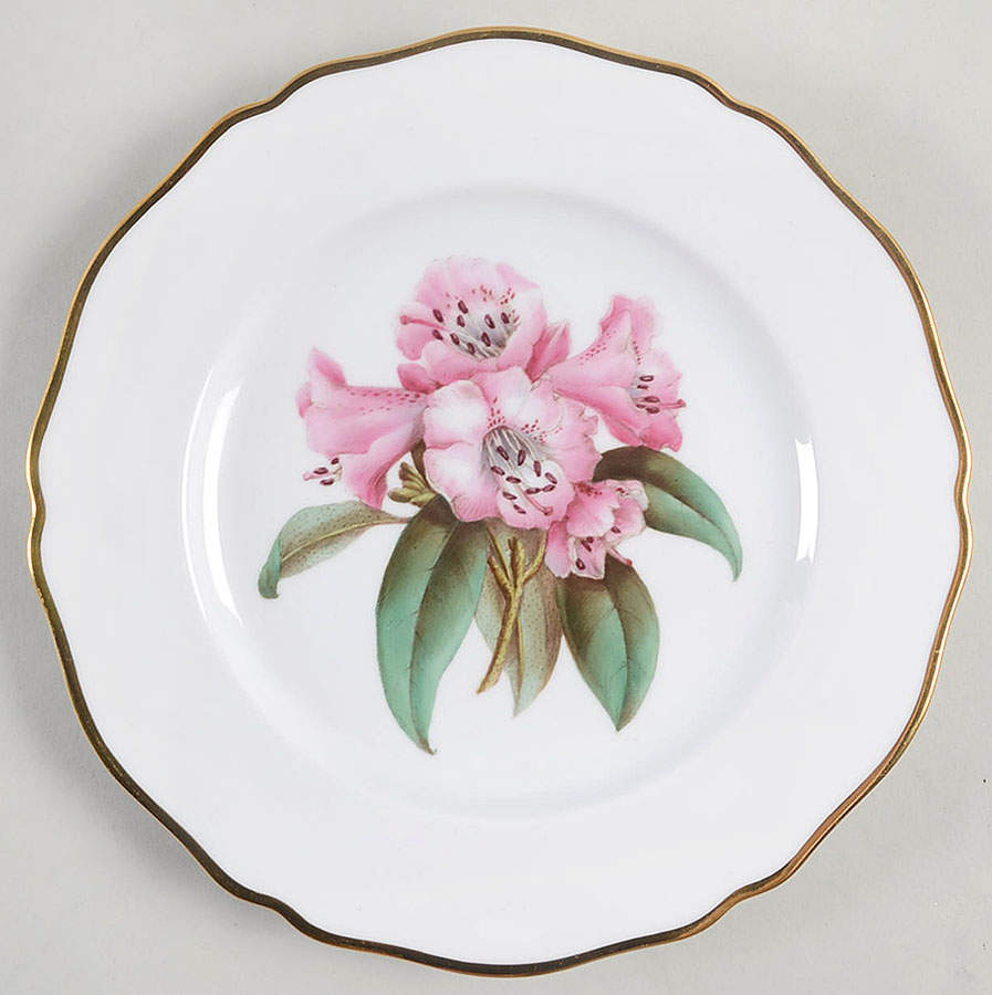 Rhododendron Salad Plate by Spode-1
