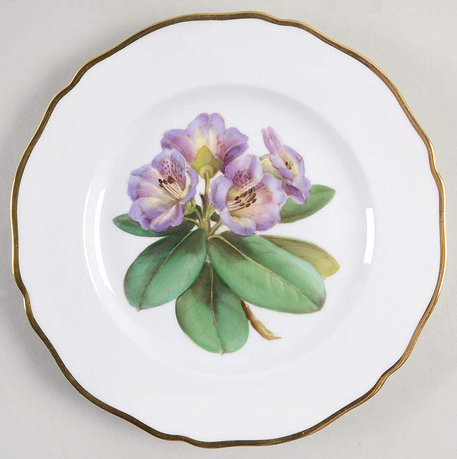 Rhododendron Salad Plate by Spode-1