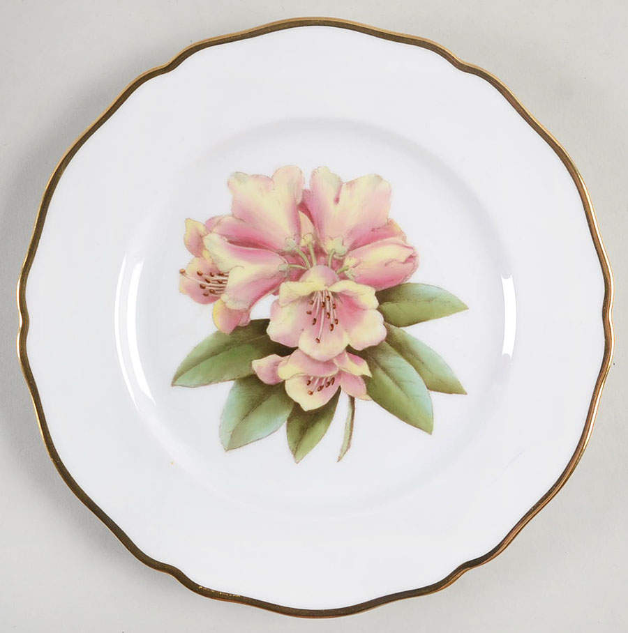 Rhododendron Salad Plate by Spode-1