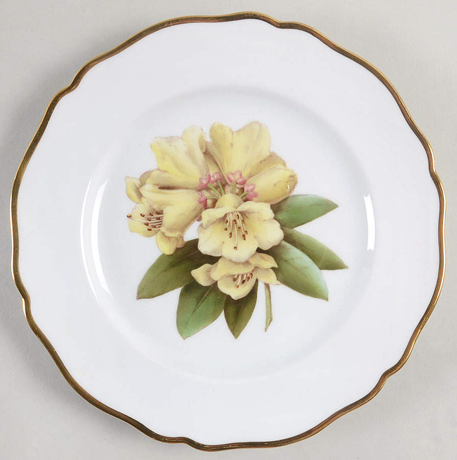 Rhododendron Salad Plate by Spode-1
