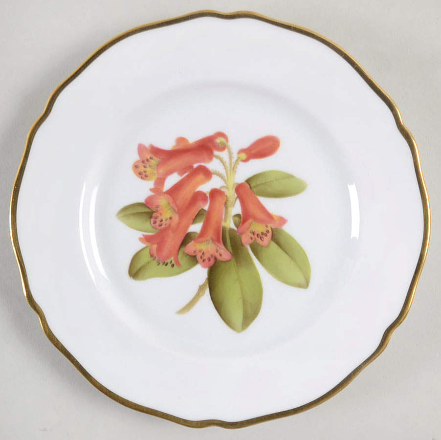 Rhododendron Bread & Butter Plate by Spode-1
