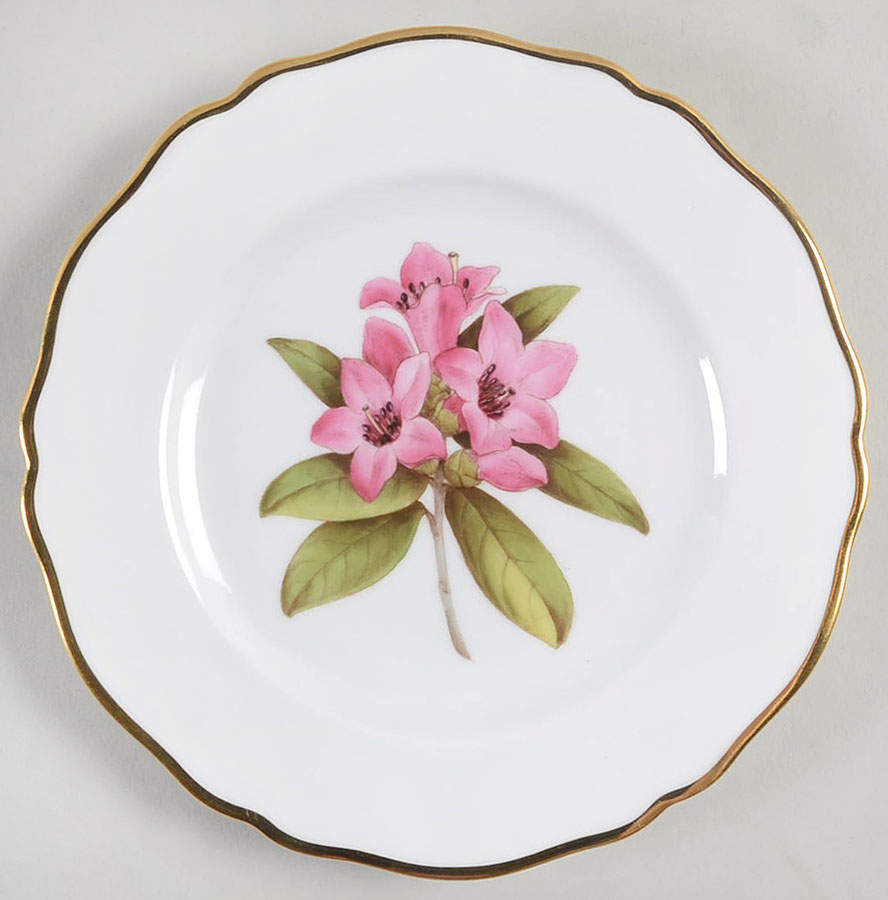 Rhododendron Bread & Butter Plate by Spode-1