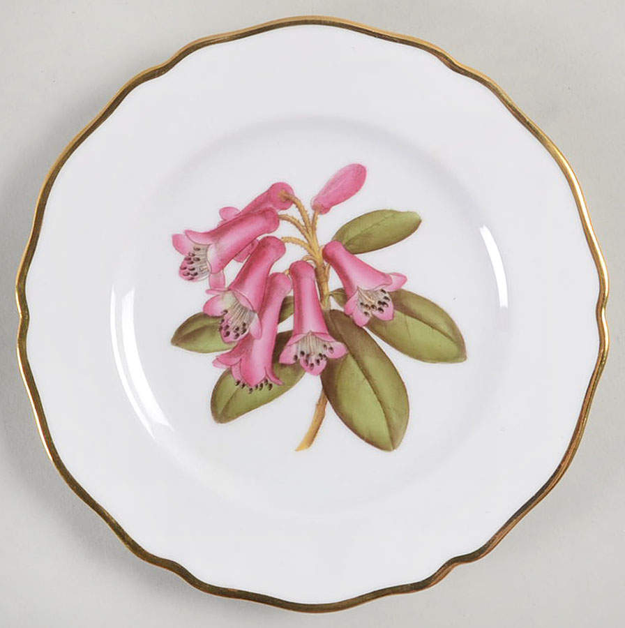 Rhododendron Bread & Butter Plate by Spode-1