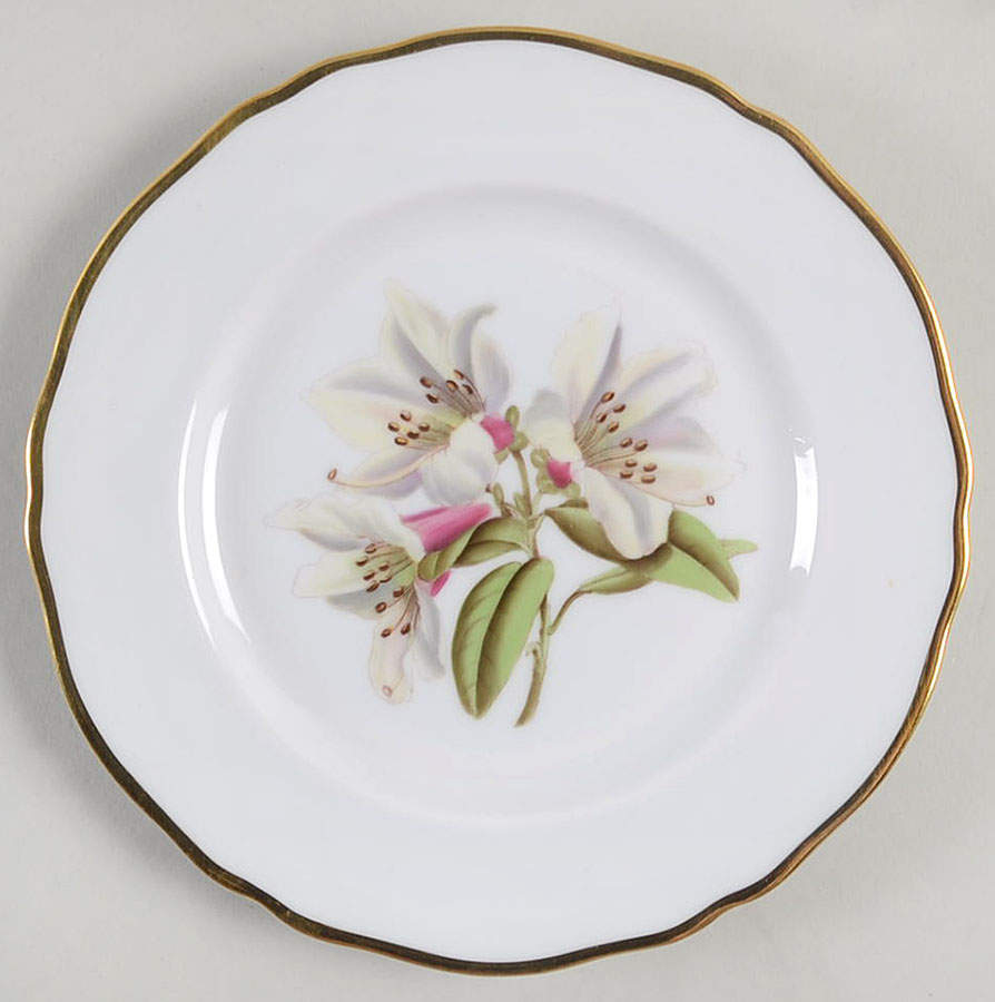 Rhododendron Bread & Butter Plate by Spode-1