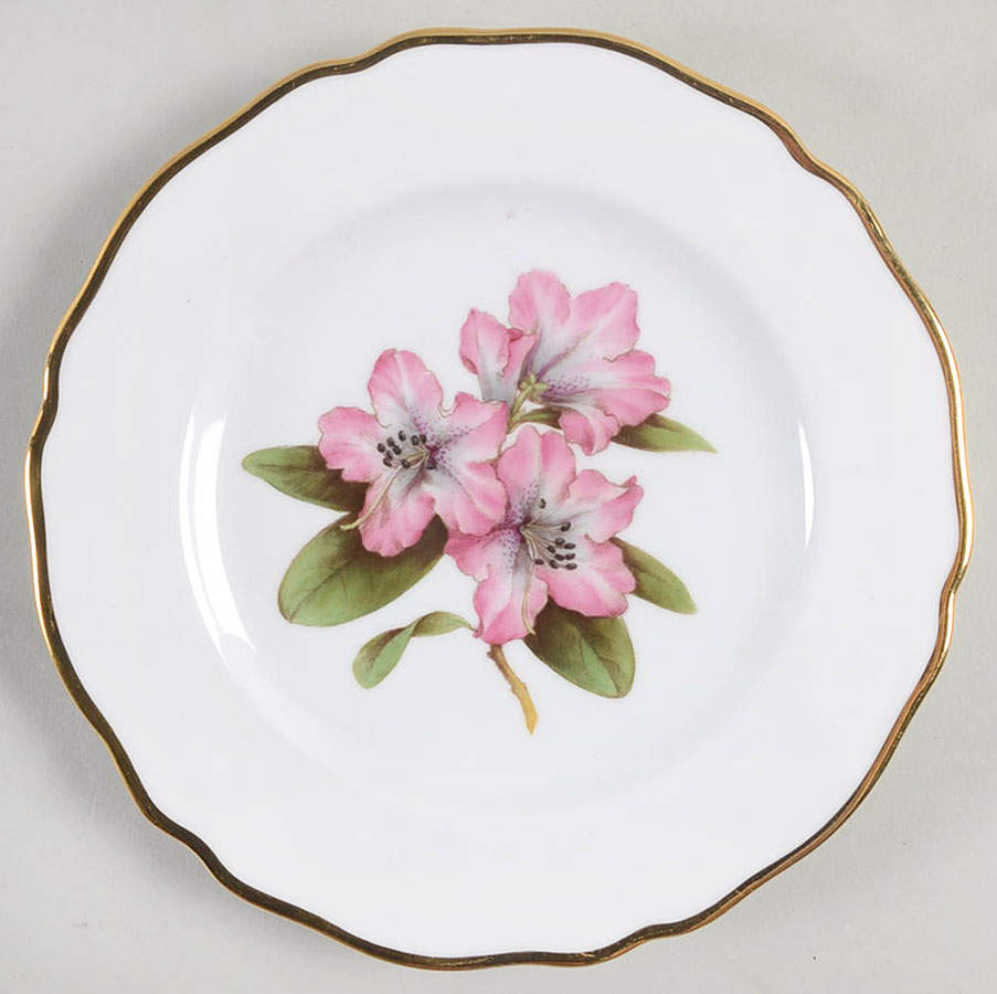 Rhododendron Bread & Butter Plate by Spode-1