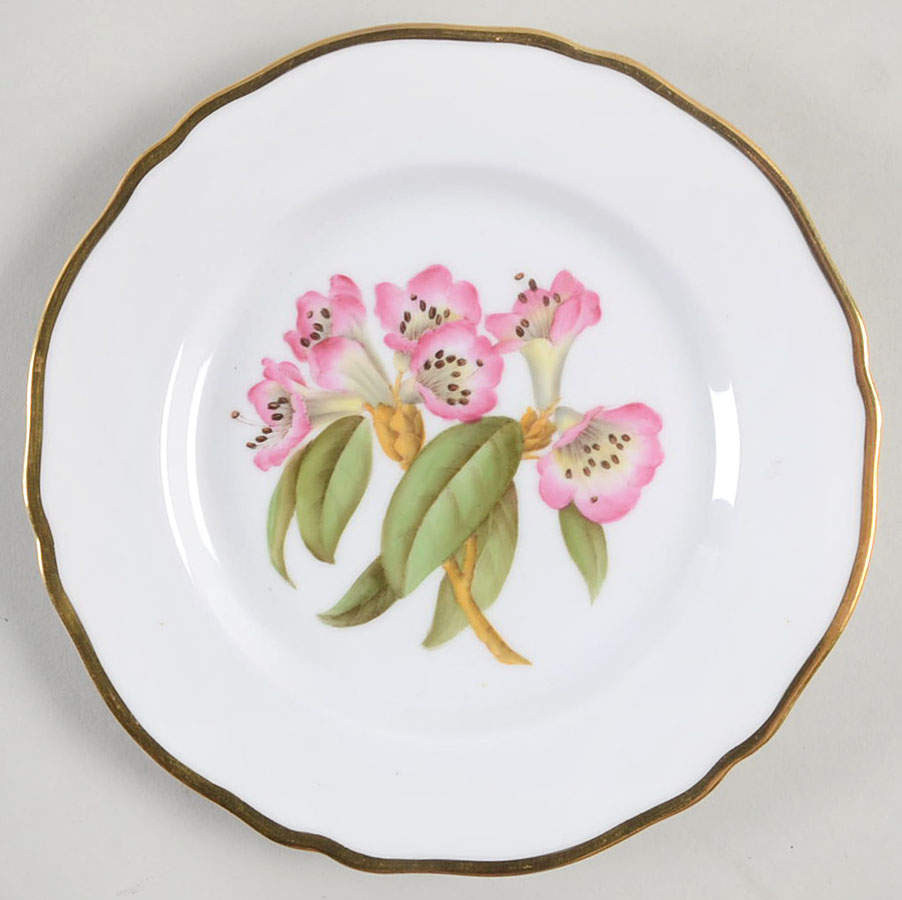 Rhododendron Bread & Butter Plate by Spode-1