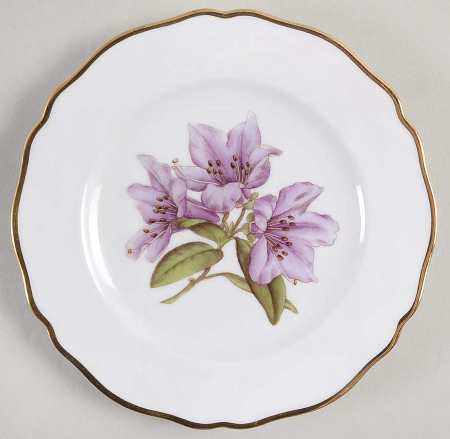 Rhododendron Bread & Butter Plate by Spode-1