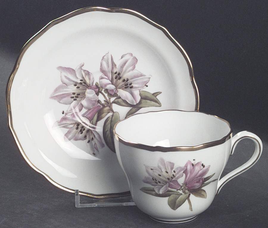 Rhododendron Flat Cup & Saucer Set by Spode-1