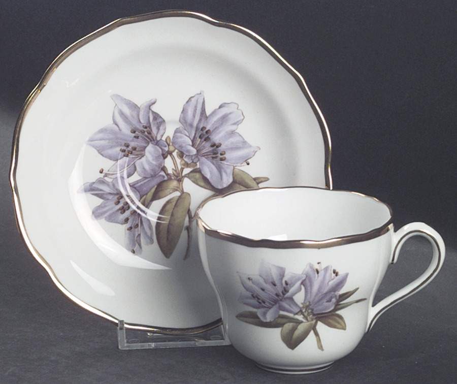Rhododendron Flat Cup & Saucer Set by Spode-1