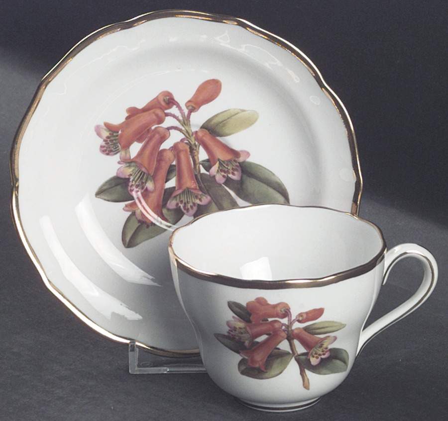 Rhododendron Flat Cup & Saucer Set by Spode-1