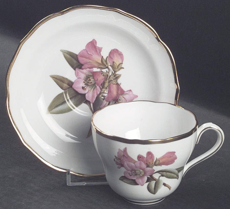 Rhododendron Flat Cup & Saucer Set by Spode-1
