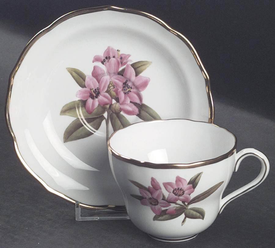 Rhododendron Flat Cup & Saucer Set by Spode-1