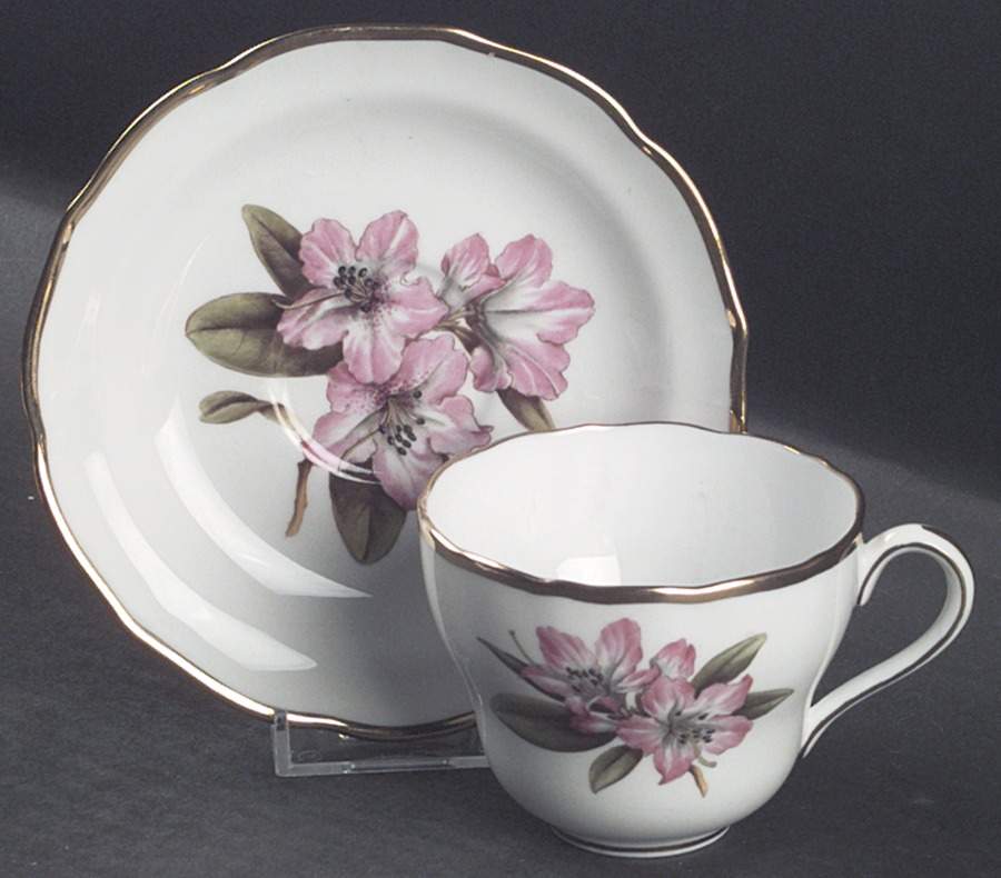 Rhododendron Flat Cup & Saucer Set by Spode-1